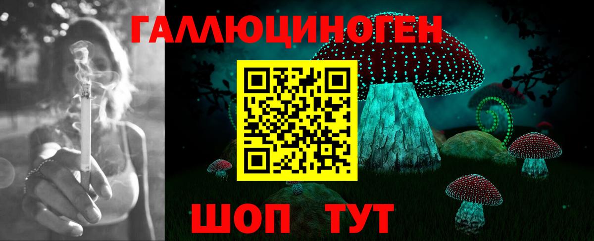 Орехово-Зуево  Псилоцибиновые грибы MAGIC MUSHROOMS  Вход с VPN 